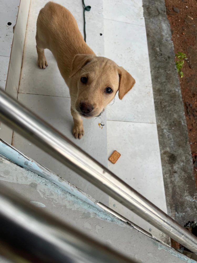 GIF uploaded by Adii