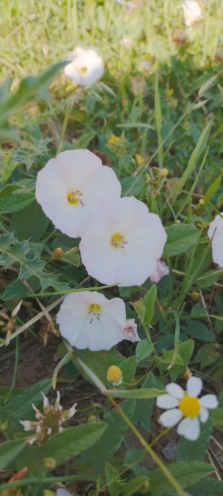 GIF uploaded by Kas