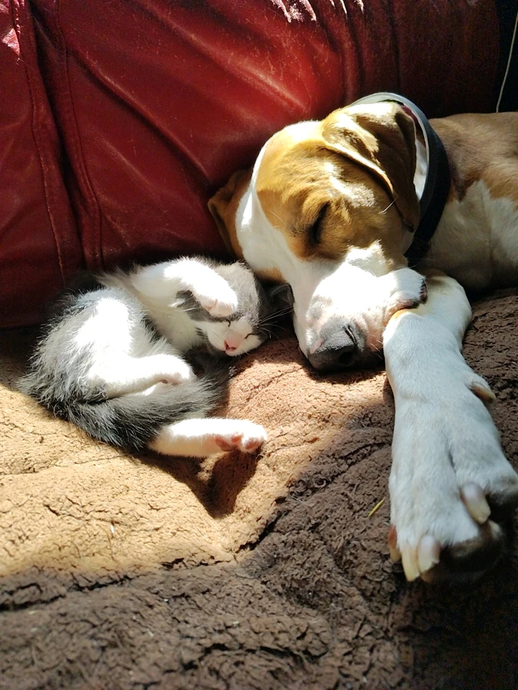 GIF uploaded by Fray
