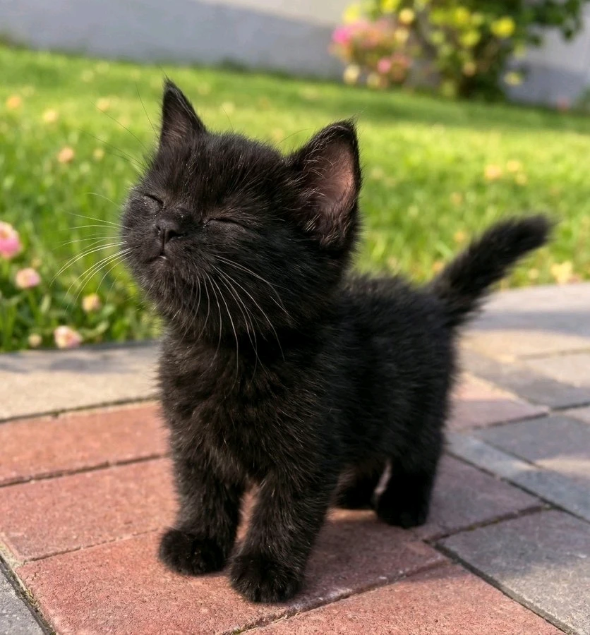 GIF uploaded by Cruz