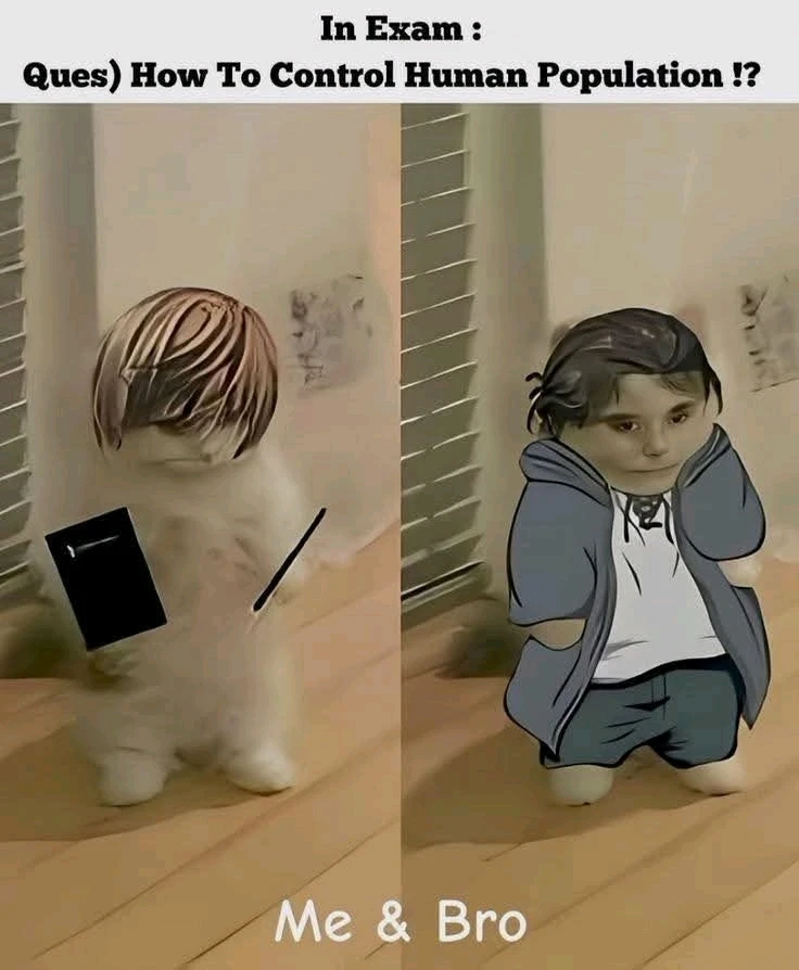 GIF uploaded by A Cash