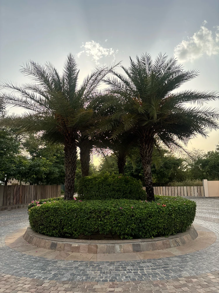 GIF uploaded by Yash