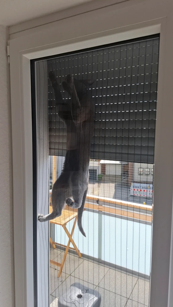 GIF hochgeladen von Björn
