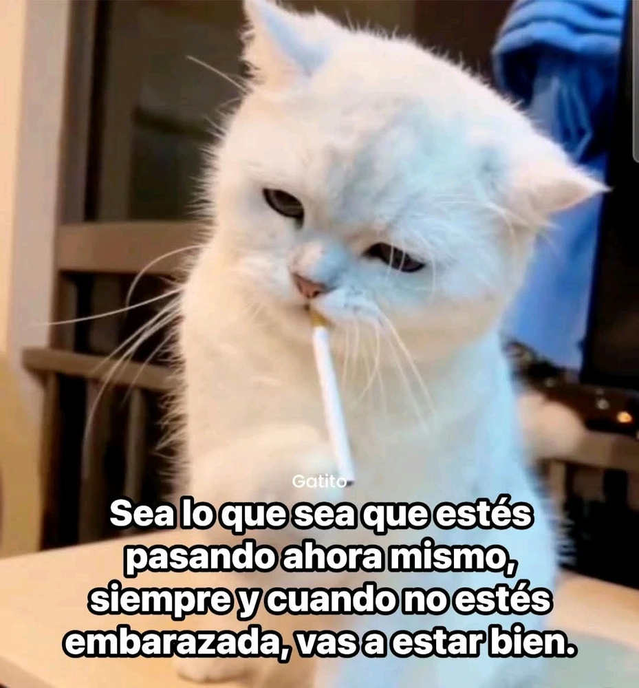 GIF subido por Lindida Godínez