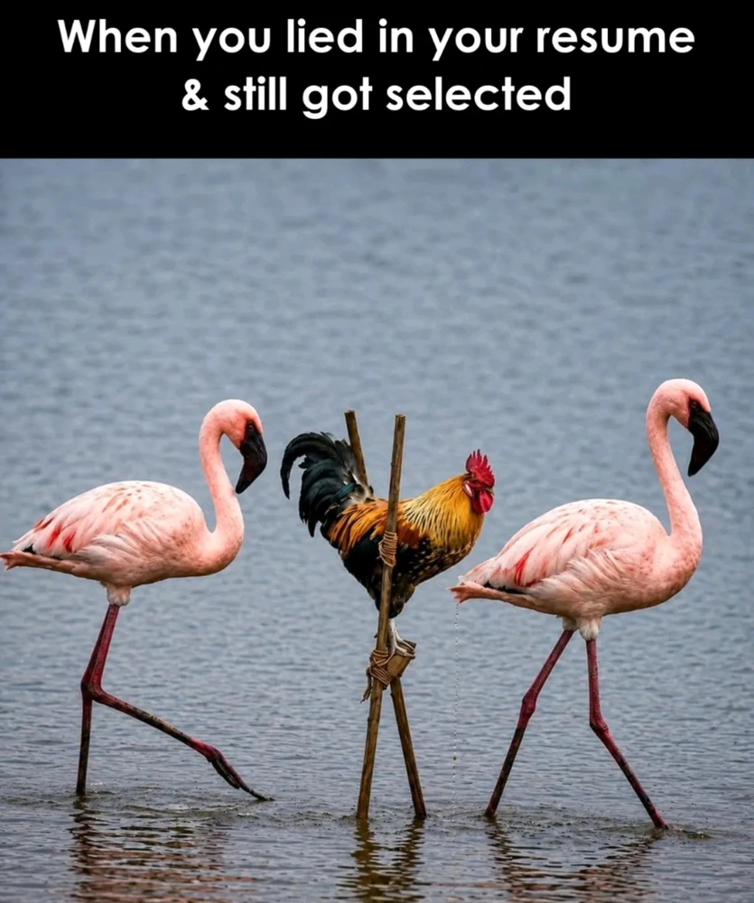 GIF uploaded by Giovanni