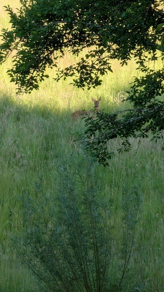 GIF hochgeladen von Simon