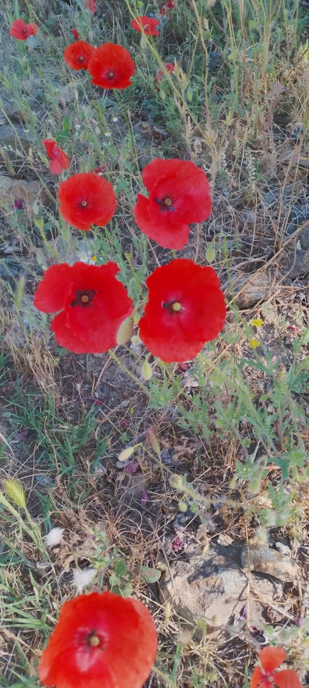 GIF uploaded by Kas