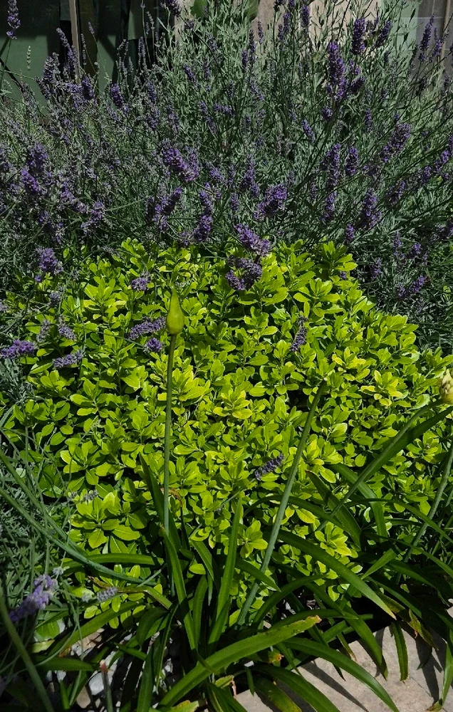 GIF uploaded by ValerieKew