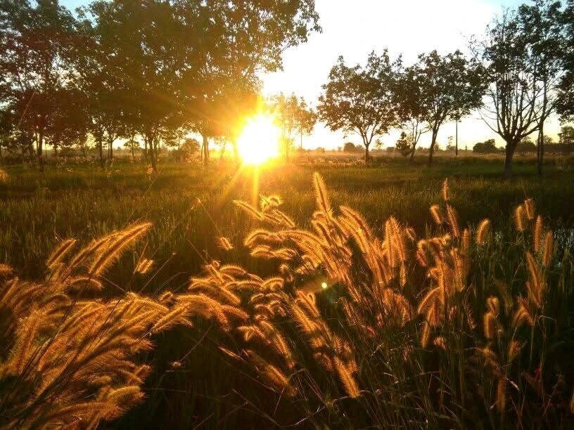 Image uploaded by RAIN ANNA