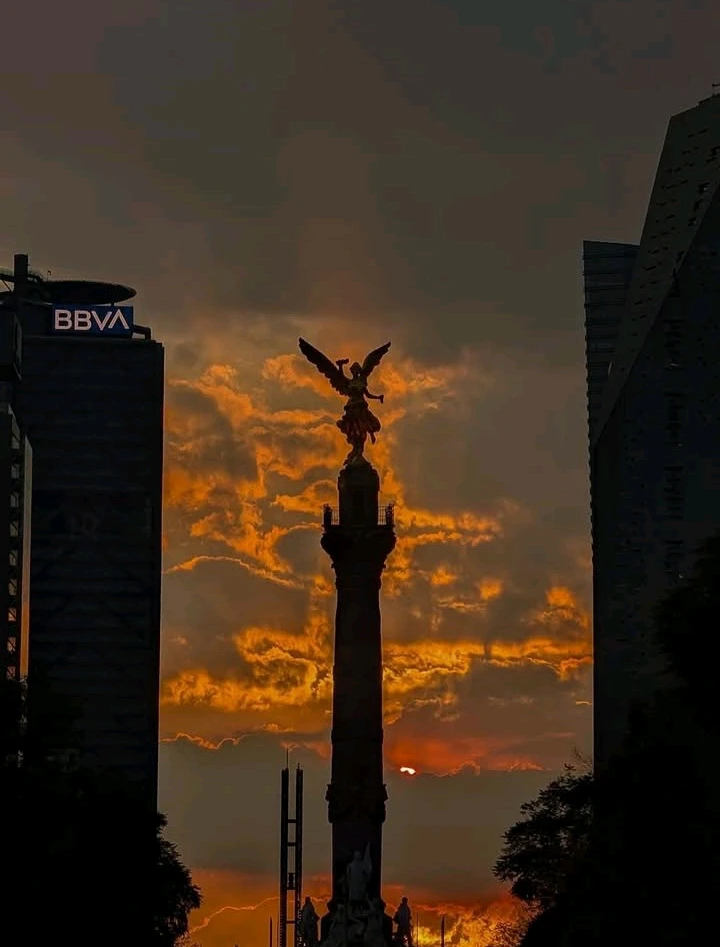 GIF subido por Antonio