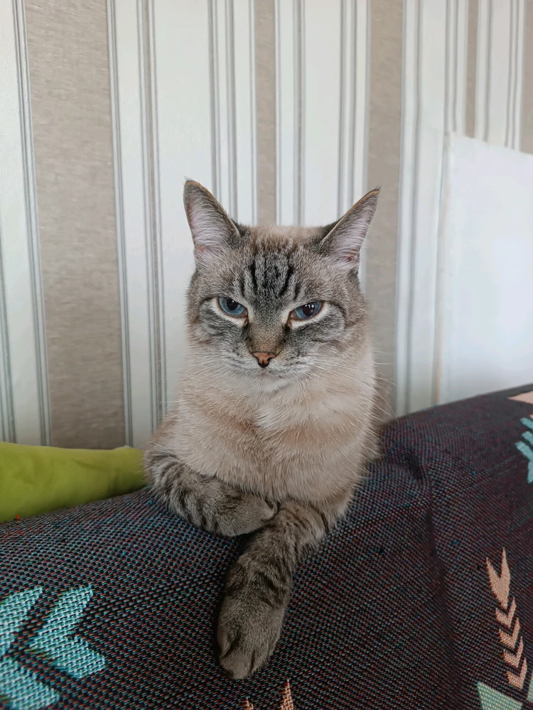 GIF загрузил Ангелина