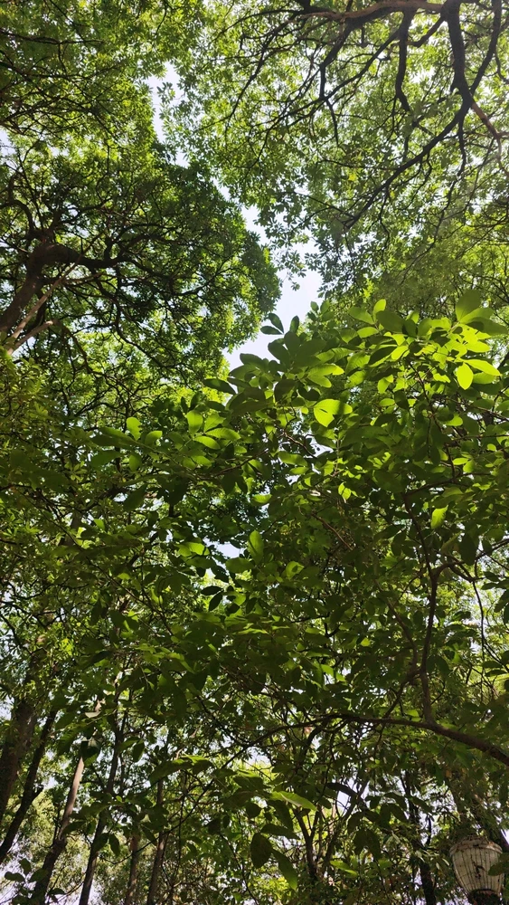 GIF uploaded by Manav