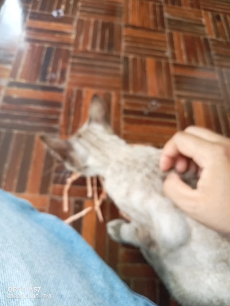 GIF uploaded by Bam Bu