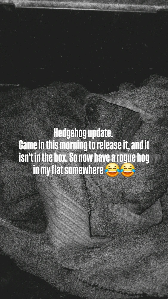 GIF uploaded by Gary