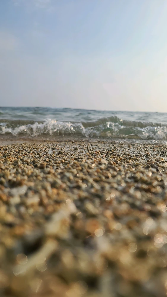 Image uploaded by Lasiru