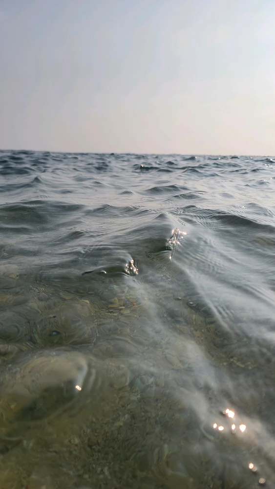 Image uploaded by Lasiru