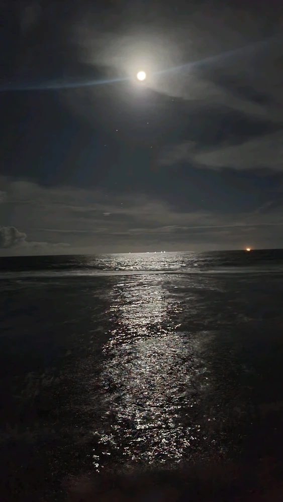 Image uploaded by Lasiru