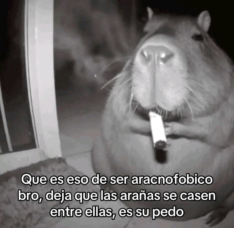 GIF uploaded by Stefania