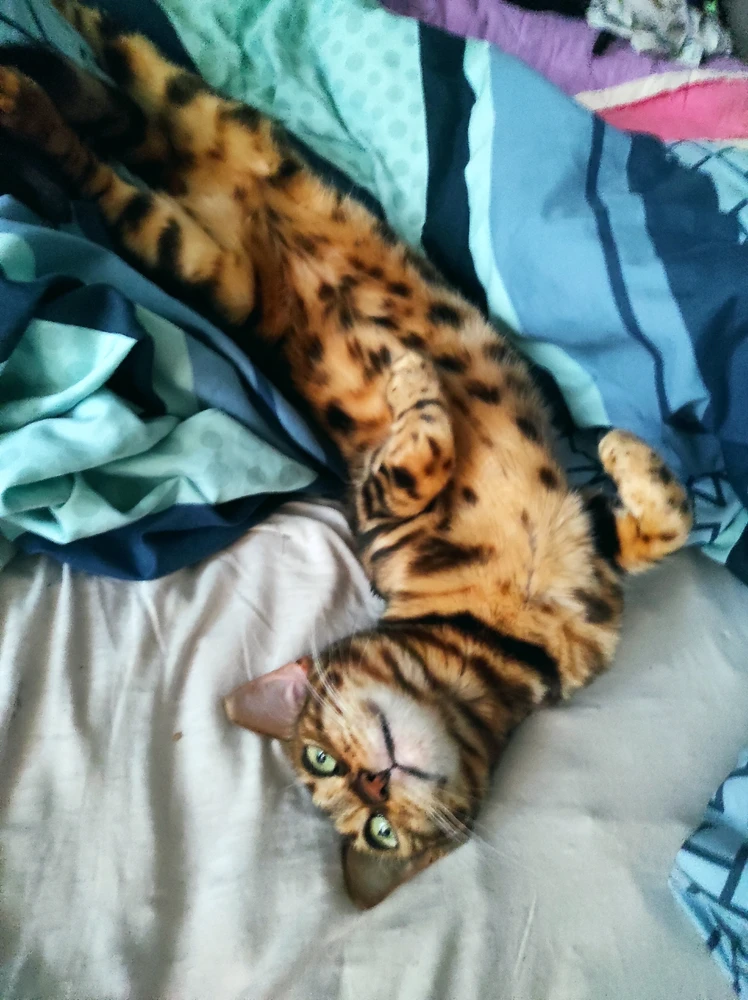 GIF uploaded by Lucie