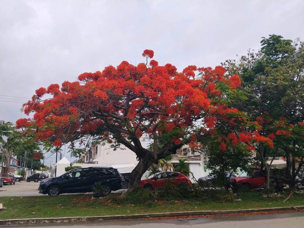 GIF subido por Emmanems