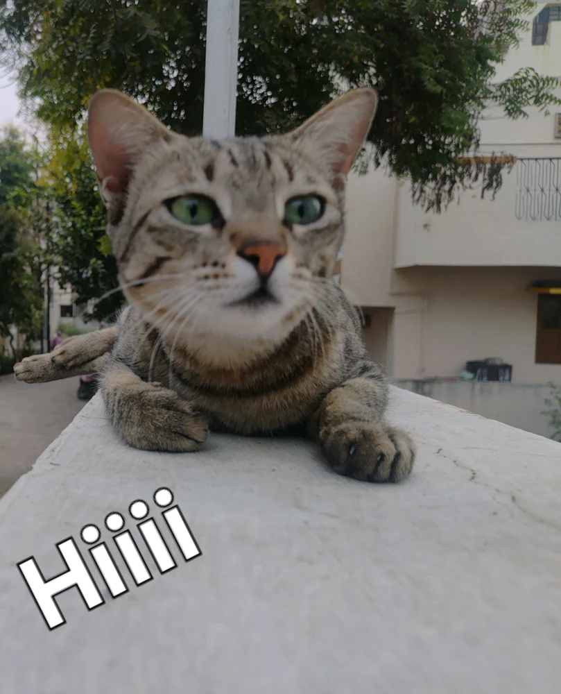 Image uploaded by Siddhant