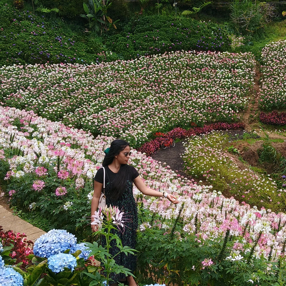 Image uploaded by Aki
