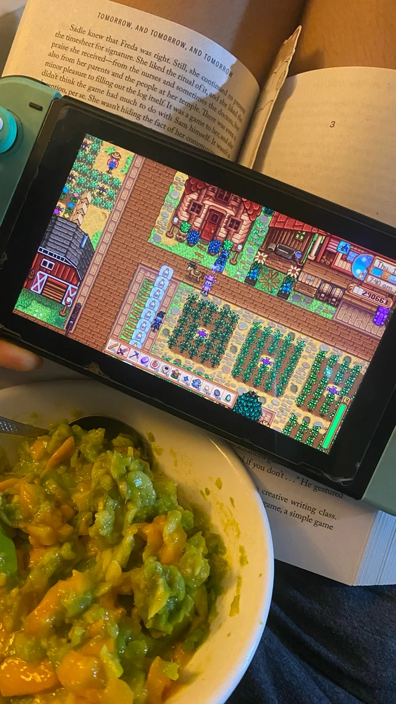 stardew valley on switch