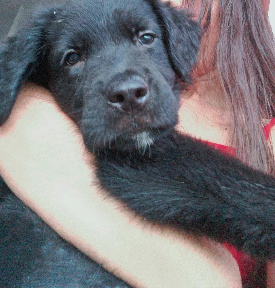 GIF enviado por Sol