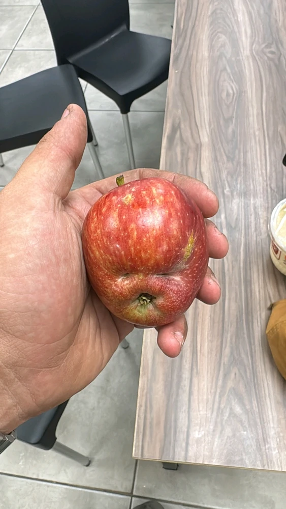 GIF הועלה על ידי Meir