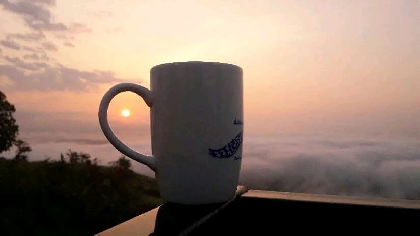 Image uploaded by RAIN  ANNA