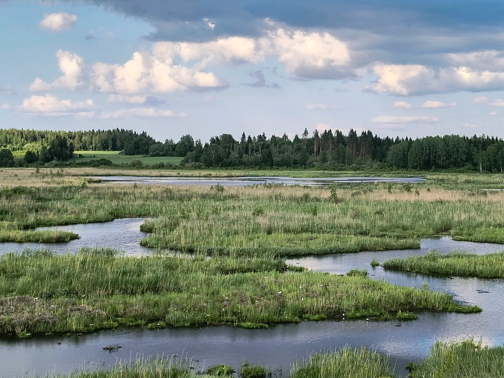 GIF-tiedoston lisäsi Sulei