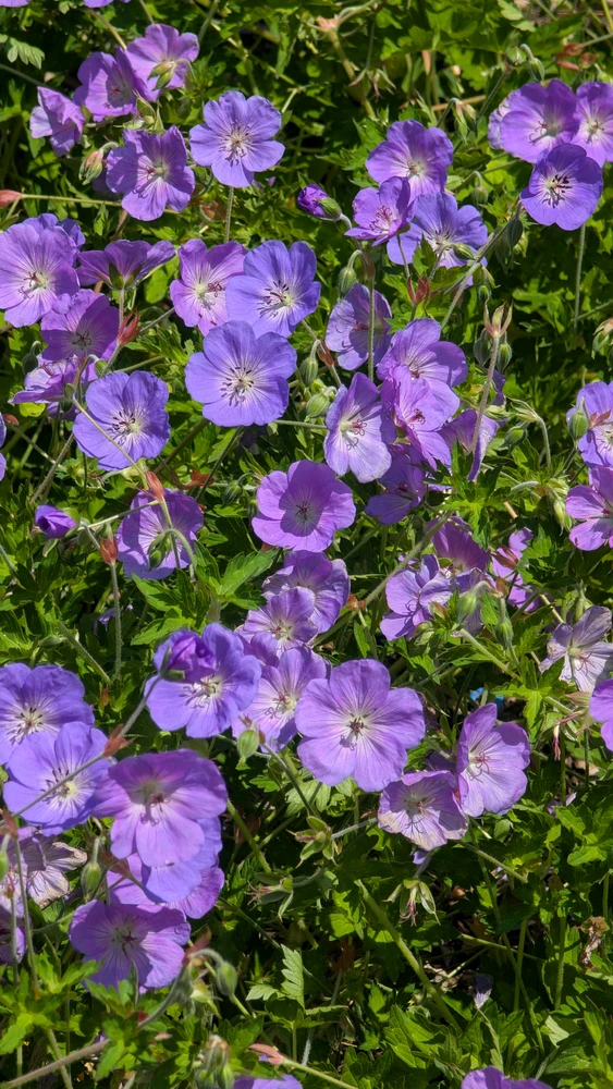 GIF uploaded by Jules
