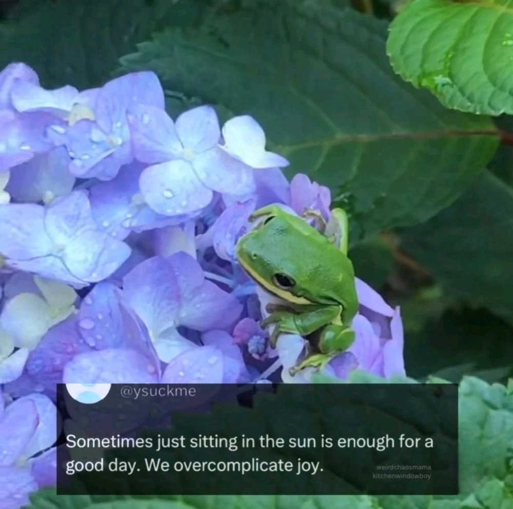 GIF uploaded by Maili