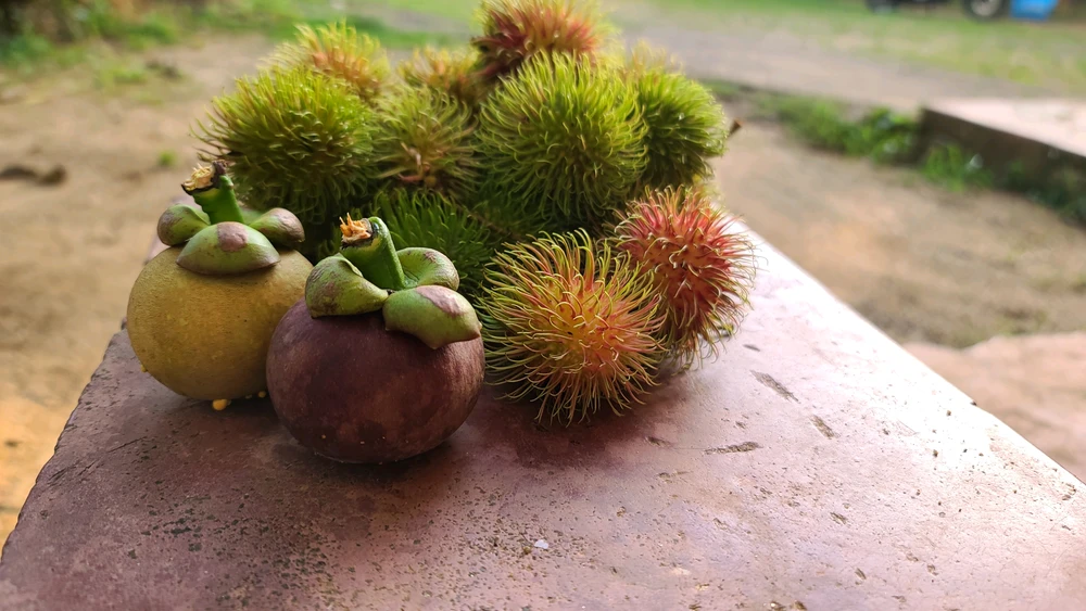 Image uploaded by Lasiru