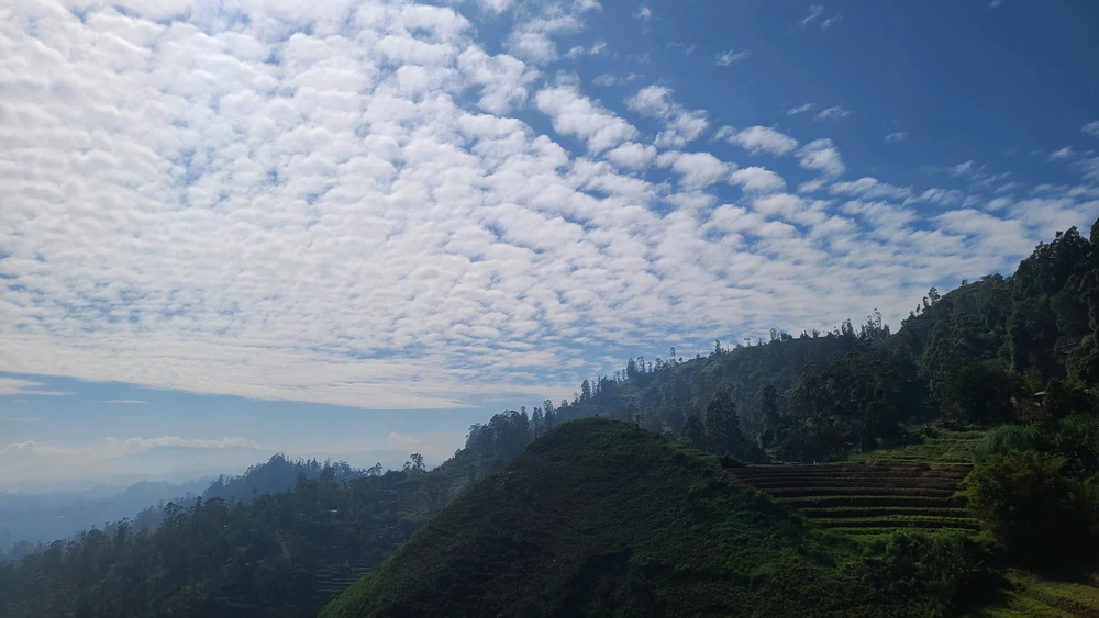 Image uploaded by Lasiru