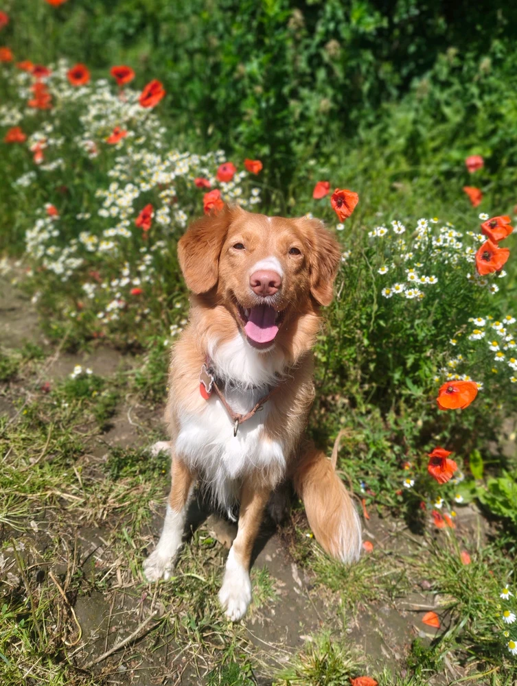 GIF uploaded by Rosie