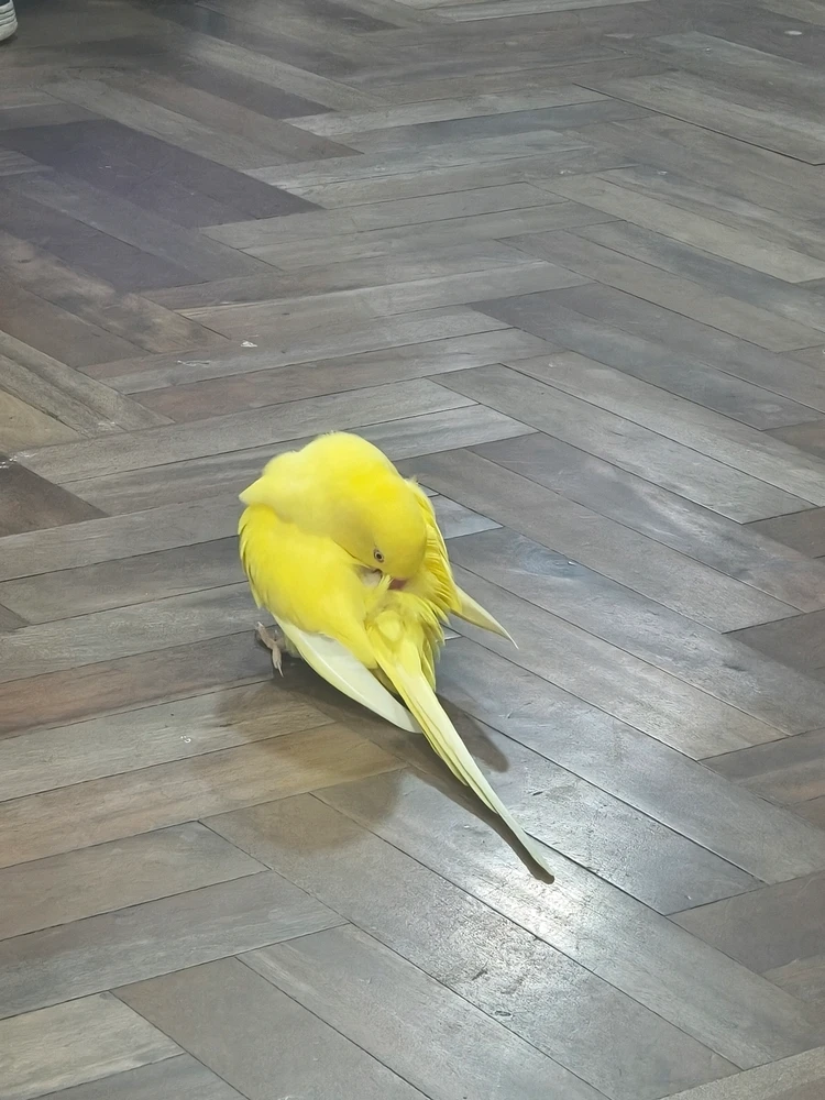 GIF uploaded by Pri