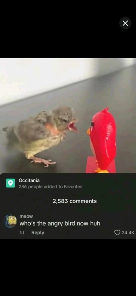 GIF uploaded by Piper