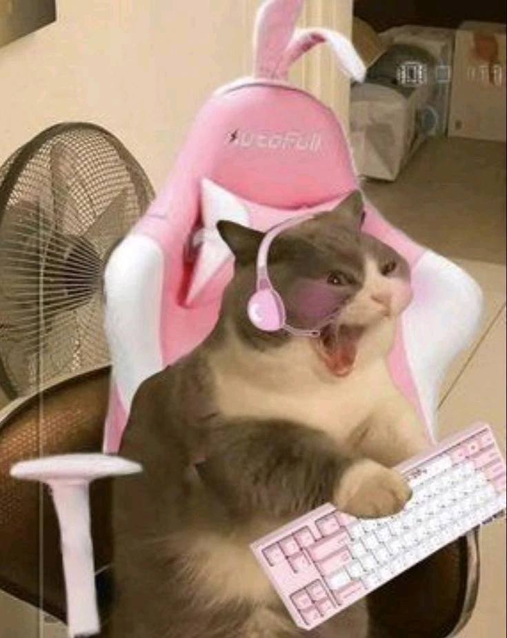 GIF subido por Paula