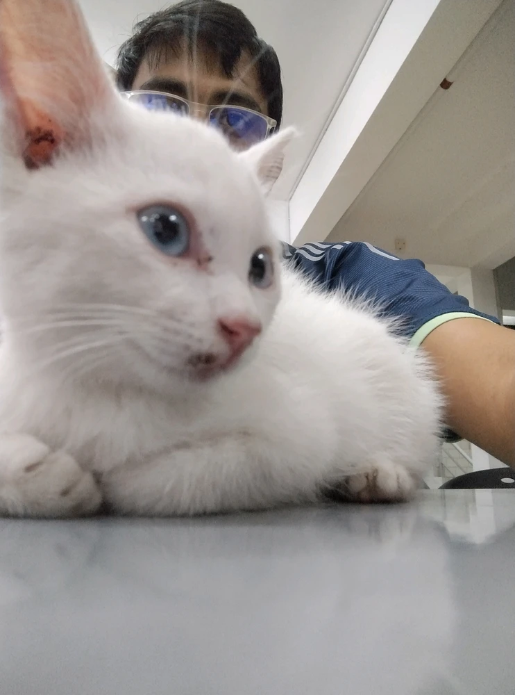 GIF uploaded by FATHE