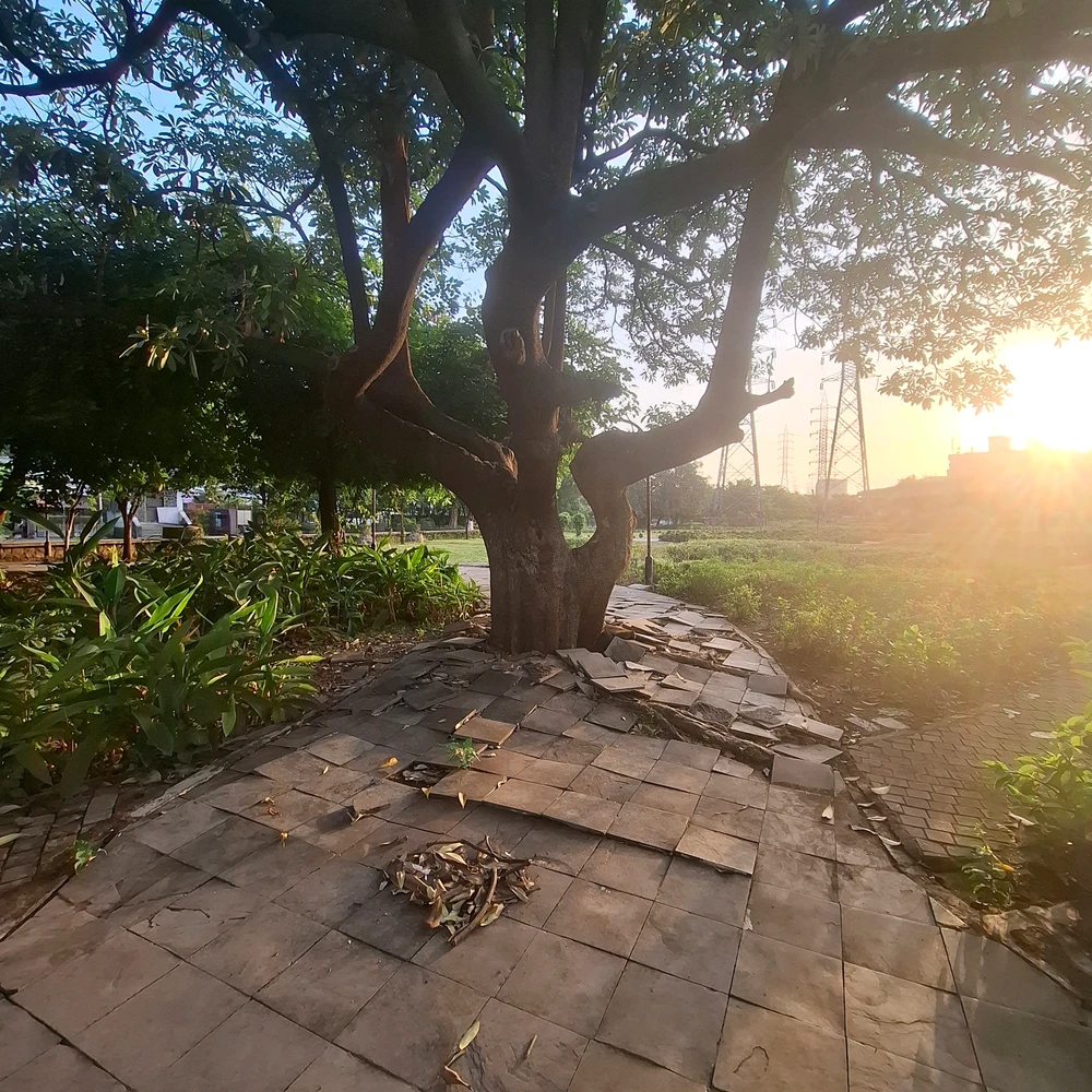 Image uploaded by Topaz