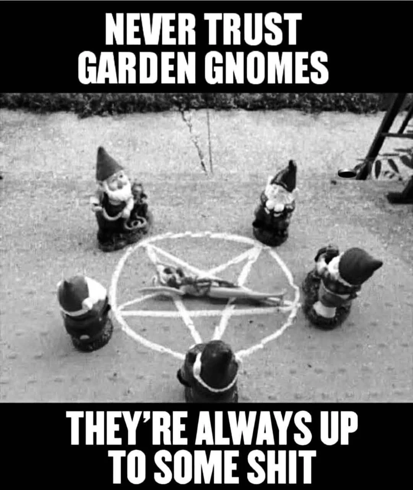 GIF uploaded by ℳ𝒾𝒹𝓃𝒾𝑔𝒽𝓉