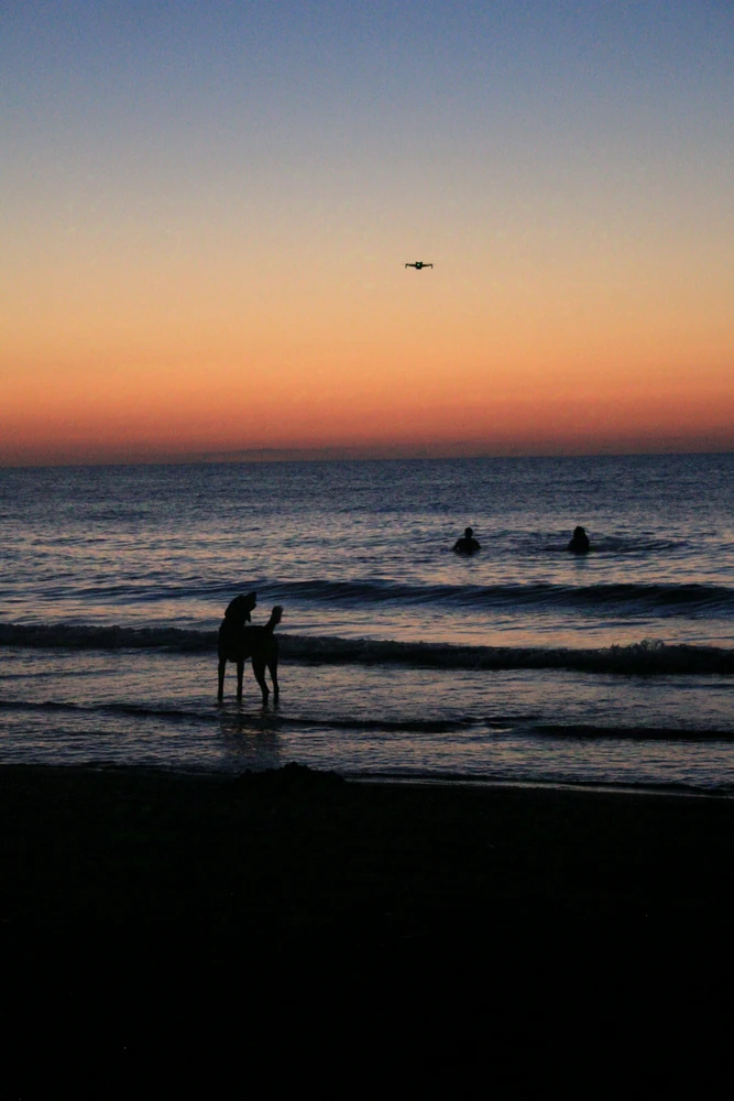 GIF uploaded by ZedG