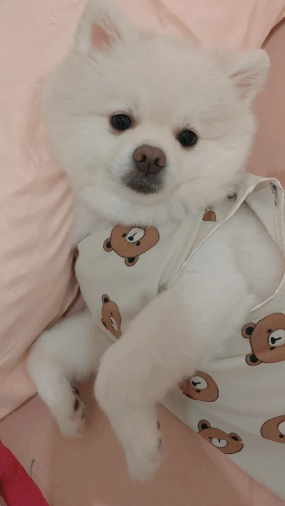 GIF uploaded by Adel