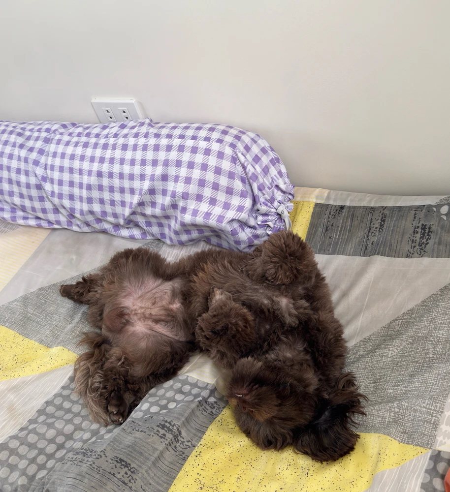 GIF uploaded by Mich