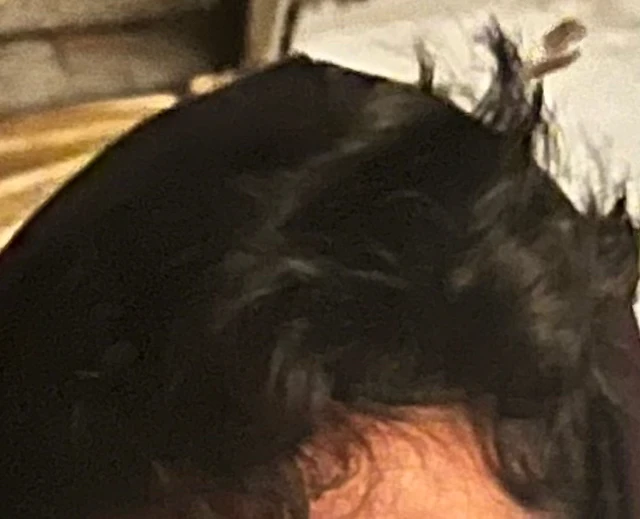 GIF uploaded by Nate