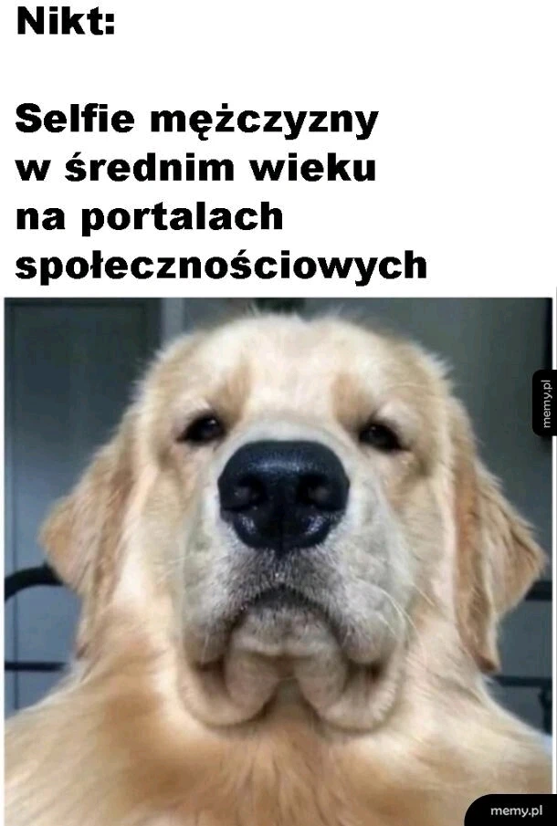 GIF uploaded by PaweΕ
