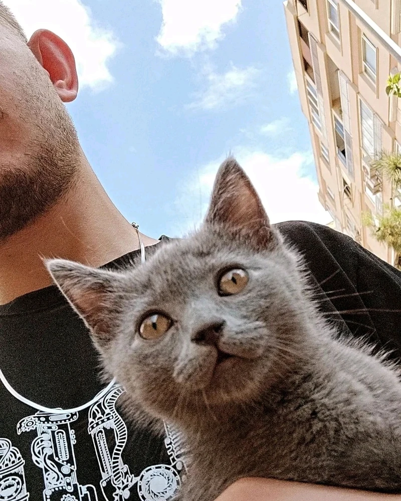 Berat tarafından yüklenen GIF