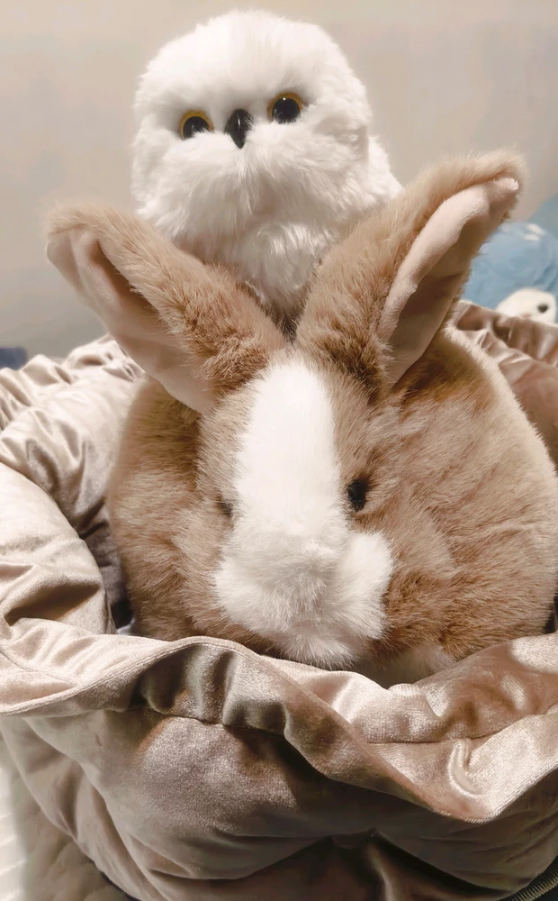 GIF uploaded by Truman