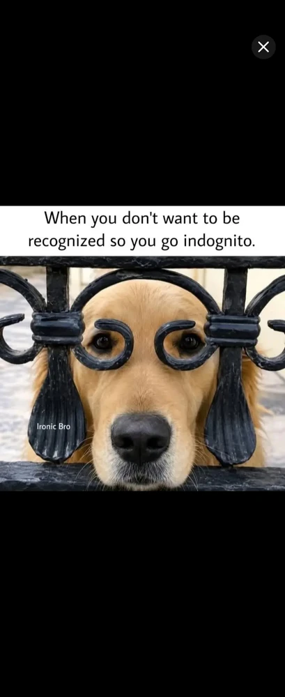 GIF uploaded by *JB* 🇬🇧🇬🇷